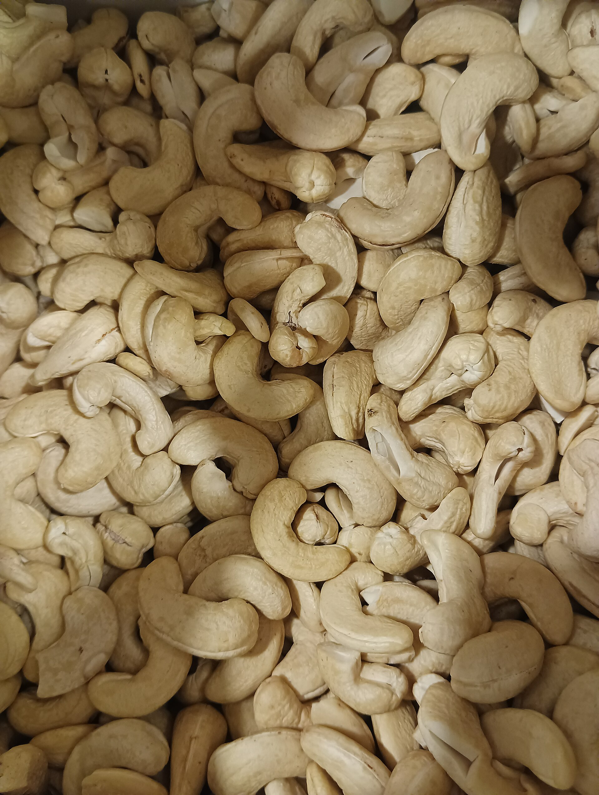 Whole white cashew kernels